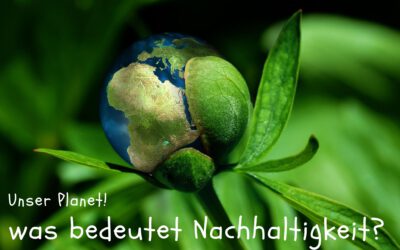 Nachhaltigkeit – Bedeutung beim Bauen