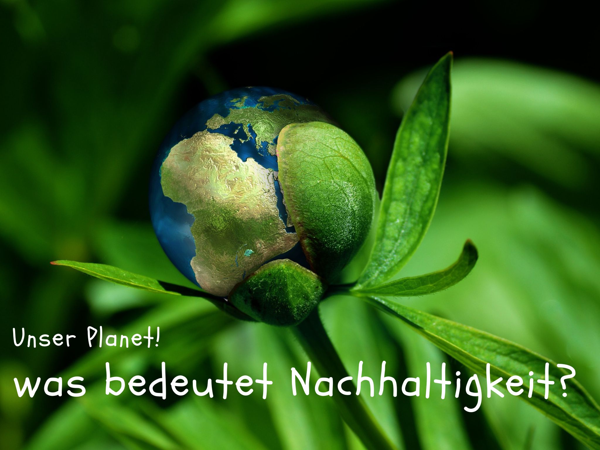 Nachhaltigkeit in Leben und Architektur