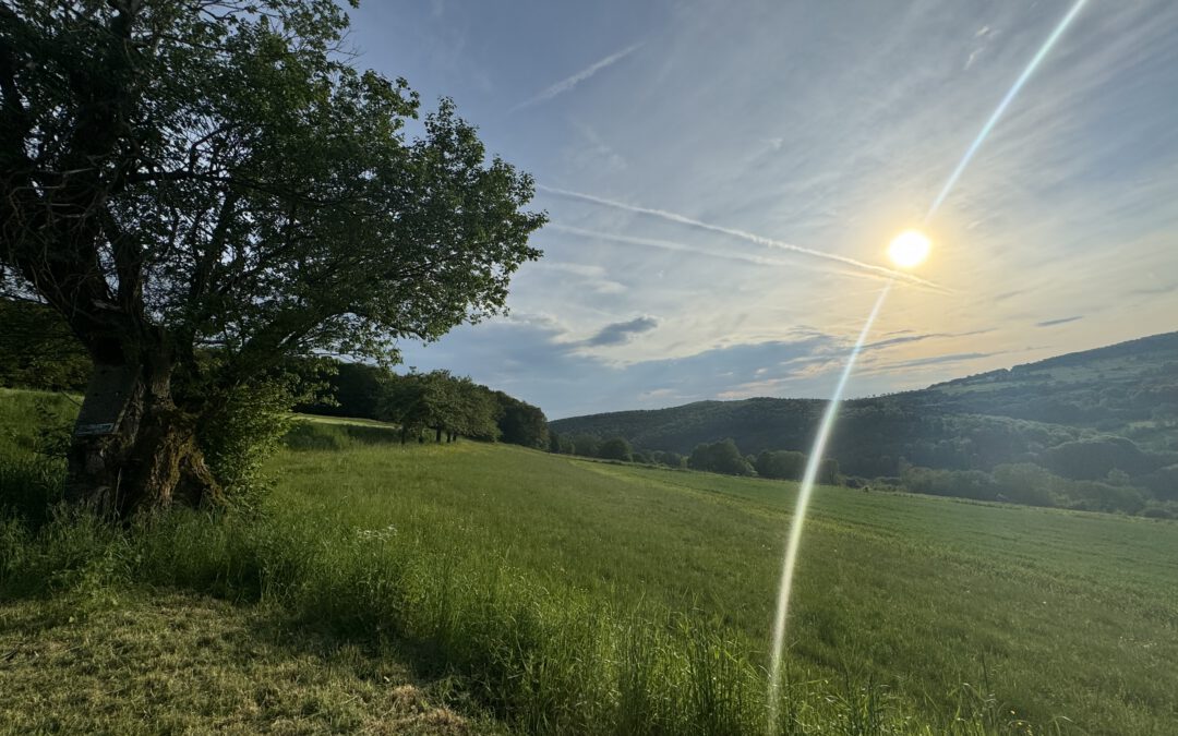 Waldbaden – Natur erleben