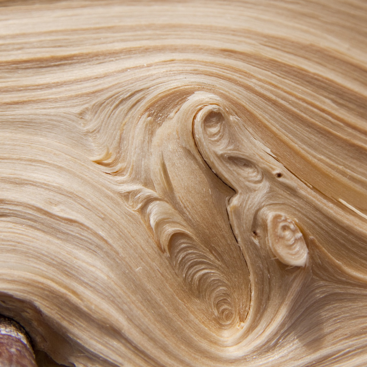 Die Schönheit und Nachhaltigkeit von Holz Die Schönheit von holz