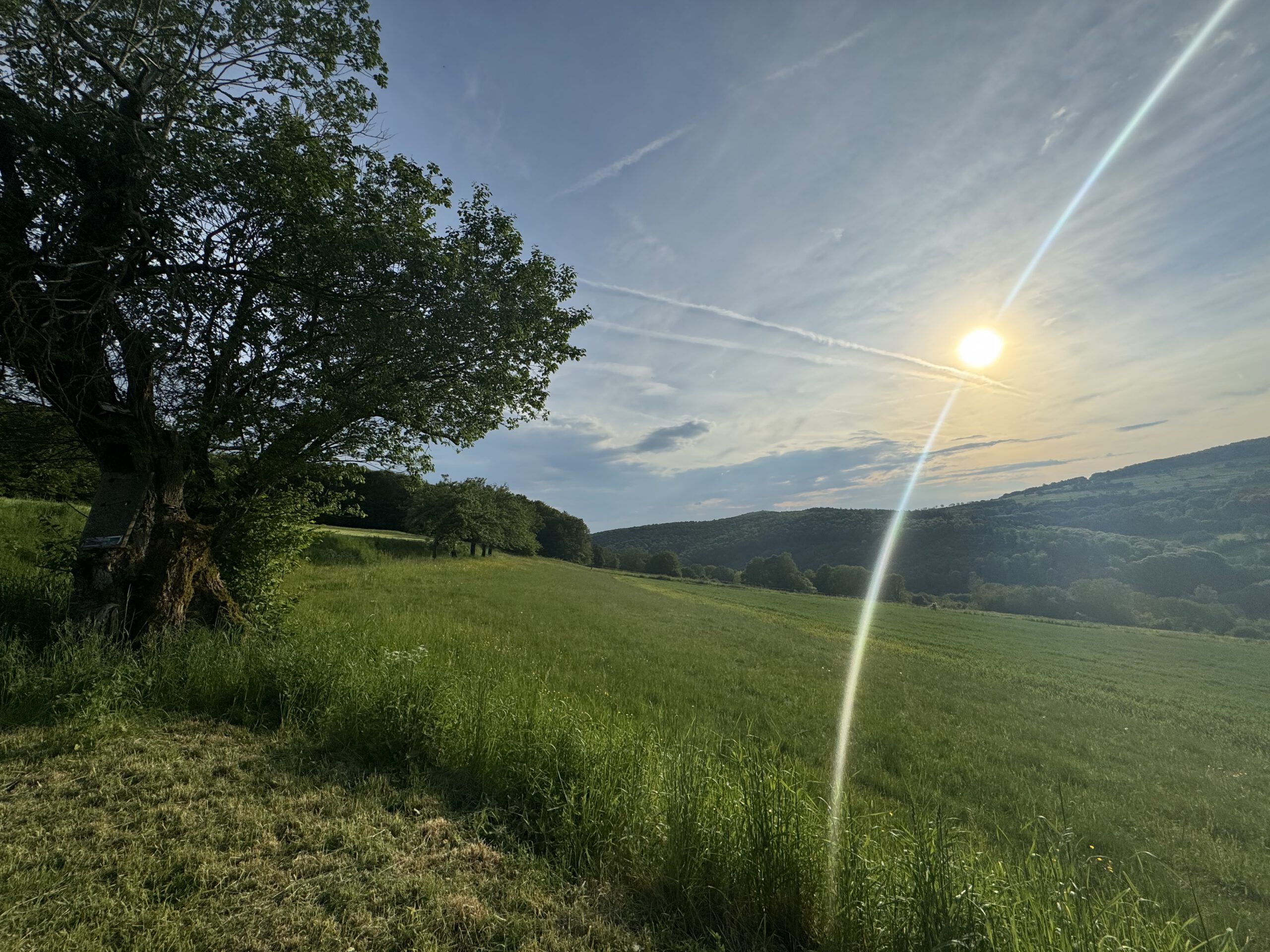 Waldbaden