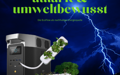 Nachhaltigkeit + Freiheit mit der EcoFlow